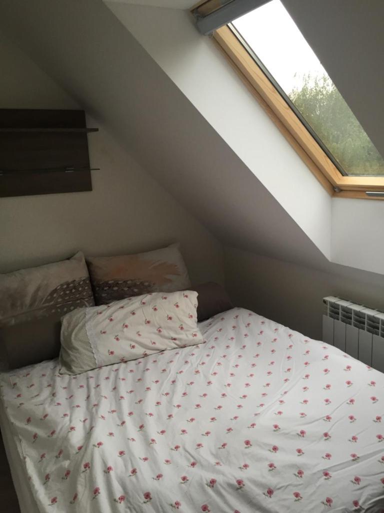 Siedlisko Kepina Zdroj Apartment Ostrow  ภายนอก รูปภาพ