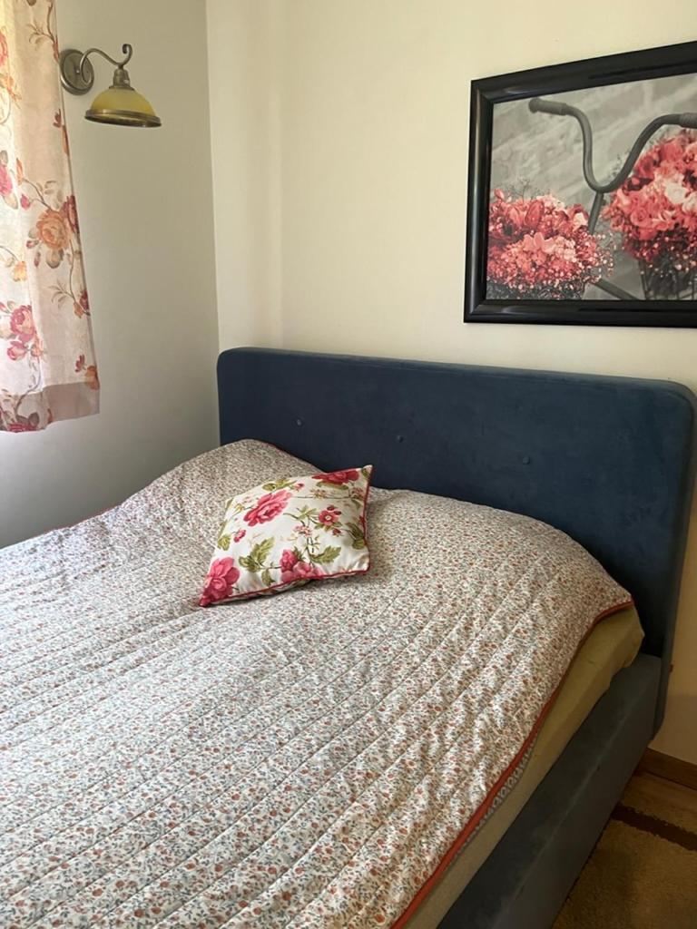 Siedlisko Kepina Zdroj Apartment Ostrow  ภายนอก รูปภาพ